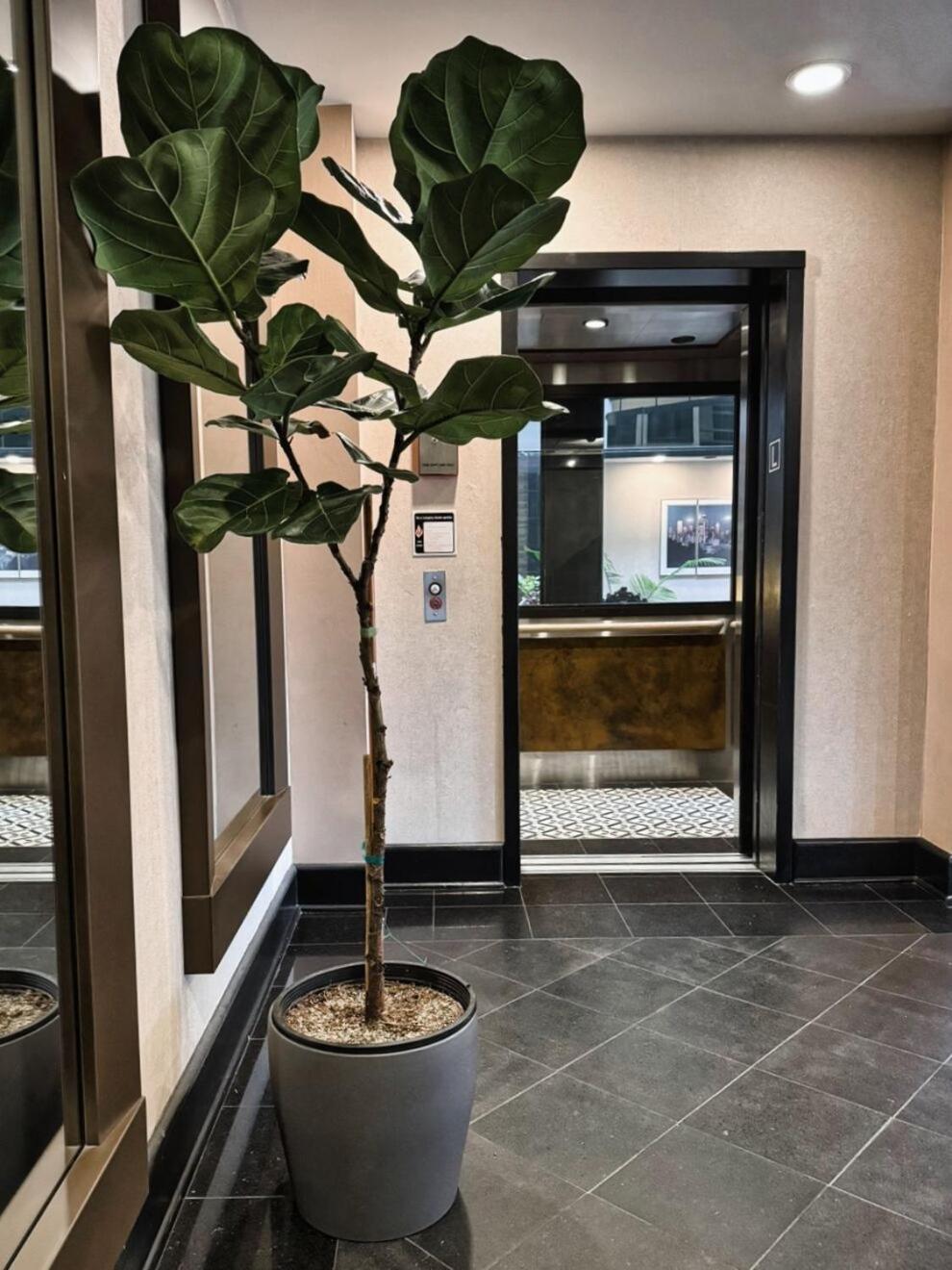 Hotel International Lynnwood Luaran gambar